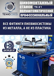 Станок шиномонтажный TS-21