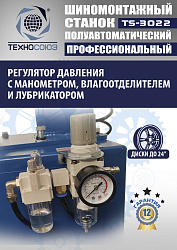 TS-3022 Станок шиномонтажный полуавтомат