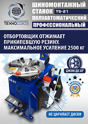 Станок шиномонтажный TS-21