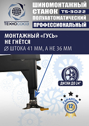 TS-3022 Станок шиномонтажный полуавтомат